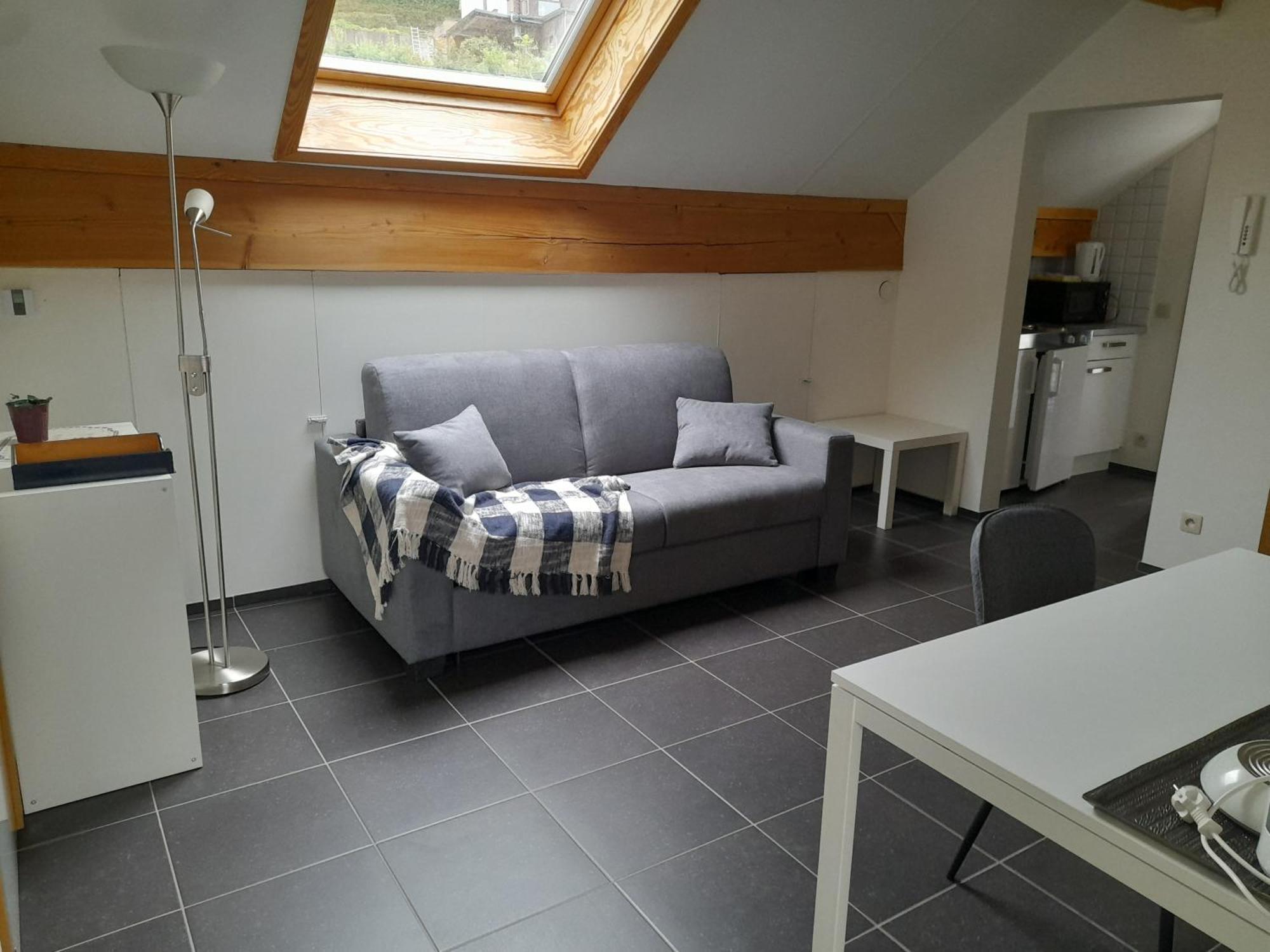 Appartamento Meuble De Tourisme A Bouillon Esterno foto